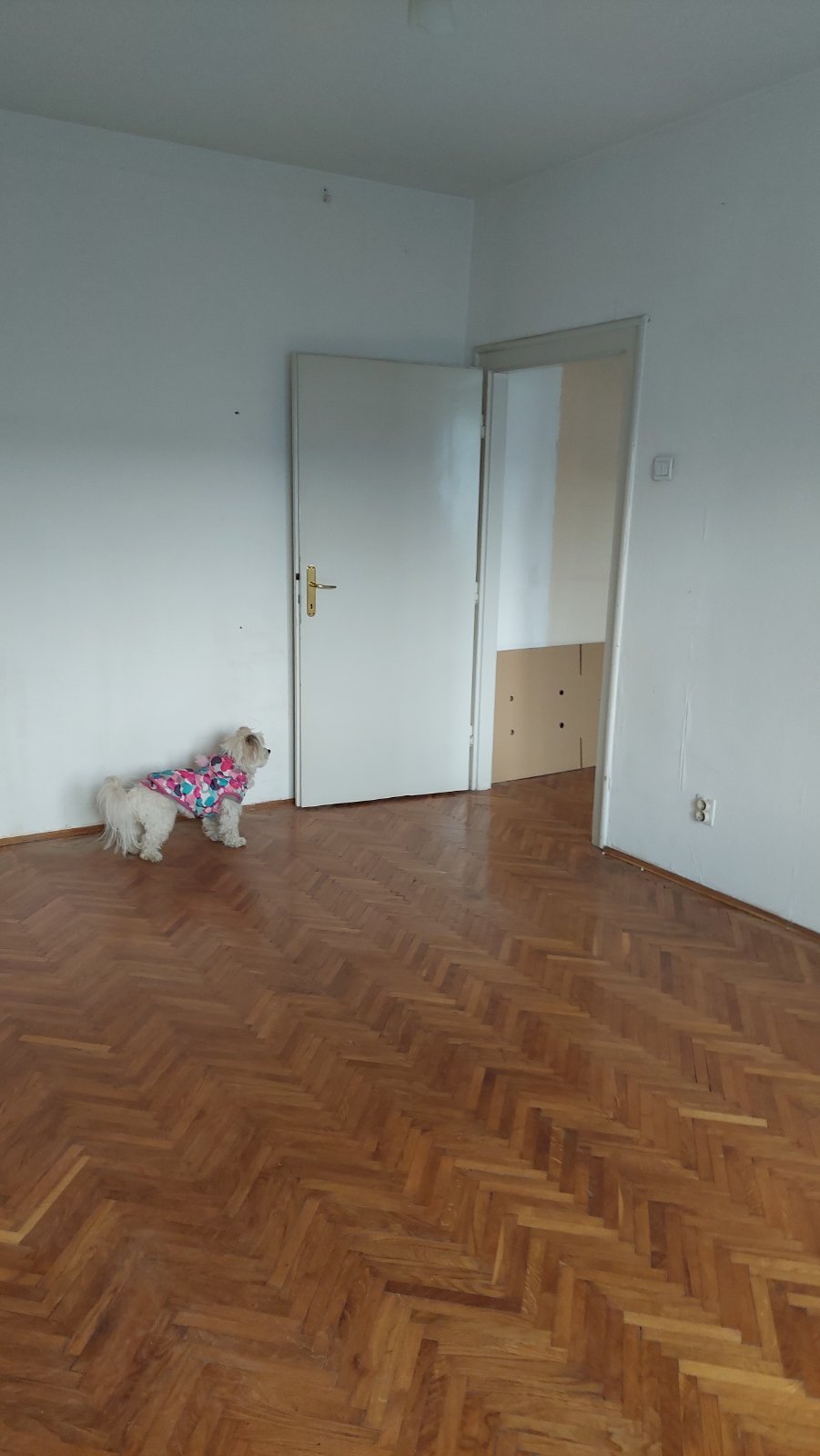 Blok 34, Carina, 3.0, 63m