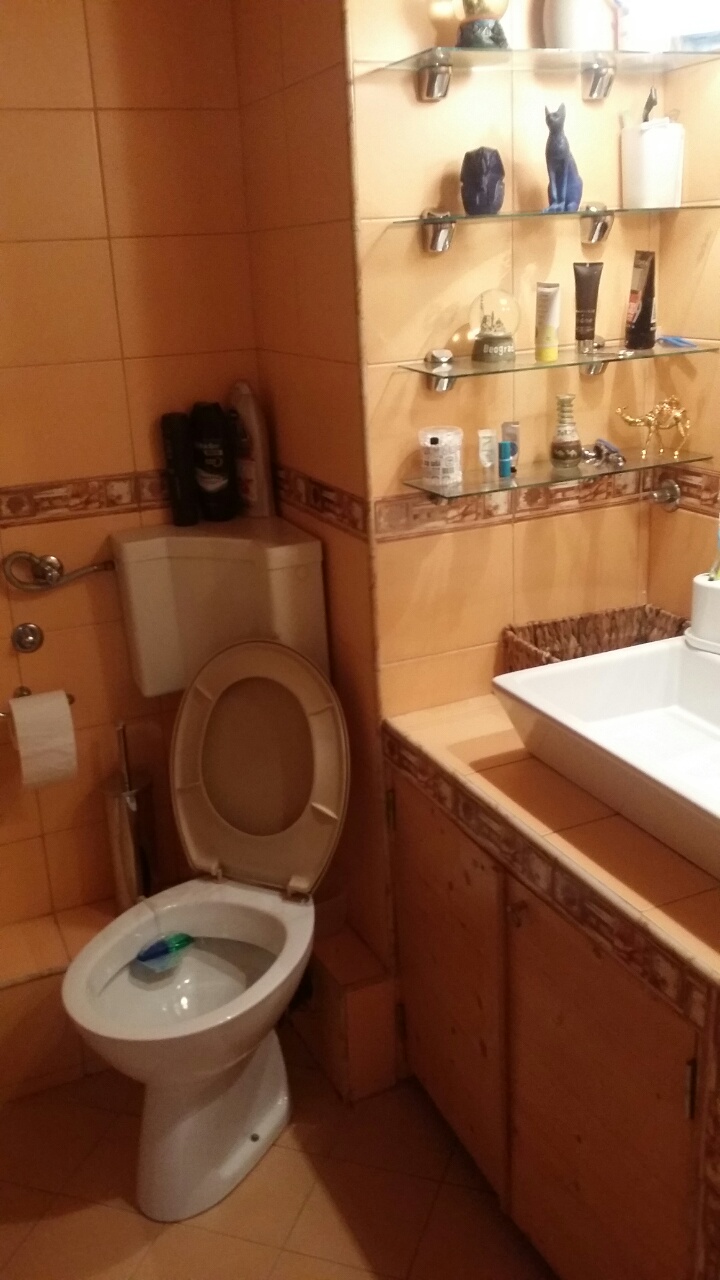 Hala Pionir, četvorosoban