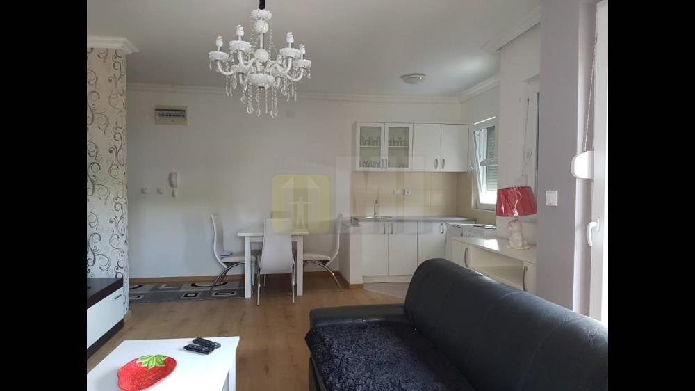 Krnjača, 1.5, 43m, novo, 43.000